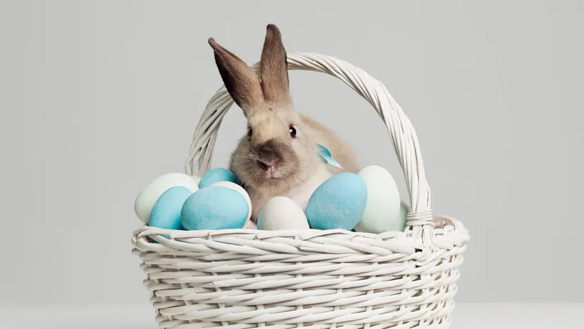 Easter Bunny: Symbolism, Traditions, and Folklore