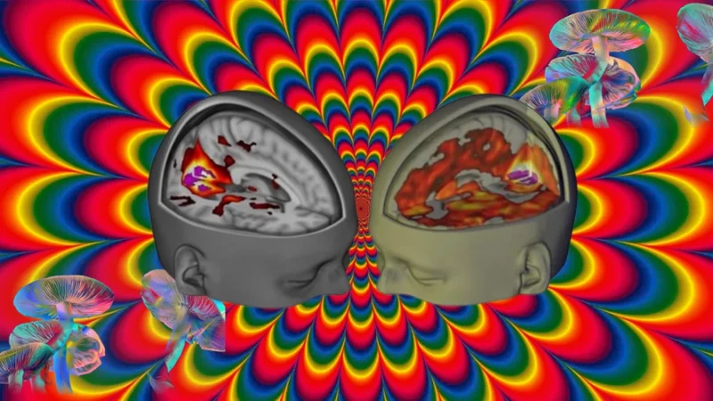 Legal and Regulatory Considerations for Psychedelic Research