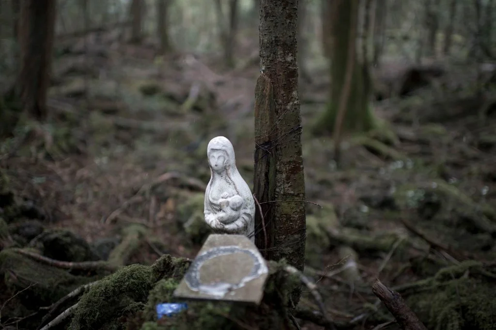 Aokigahara Forest Mysteries: Navigating Nature’s Haunting Beauty