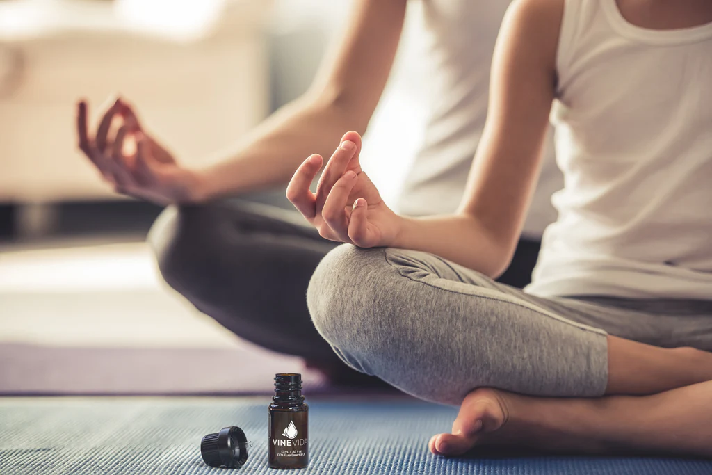 Aromatherapy and Meditation for Every Season: Enhancing Mindfulness Through Scent