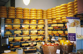 Cheese Storage