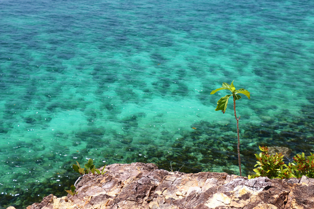 Pulau Sapi, Malinau: Surga Tersembunyi di Pedalaman, Tempat Udara Masih Sejernih Embun