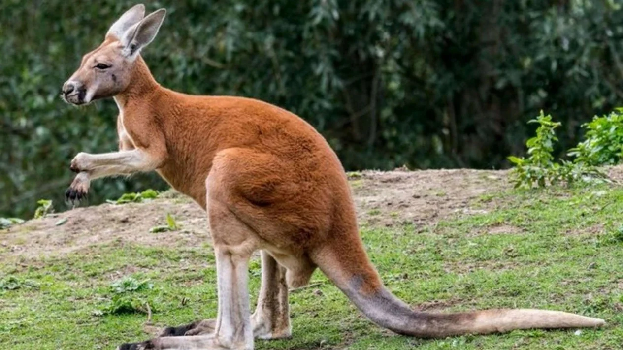 Pola Hidup dan Perilaku Sosial