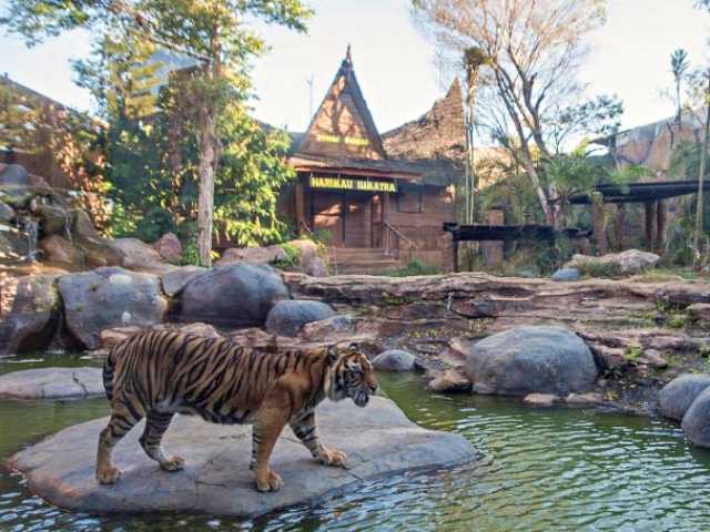 Batu Secret Zoo