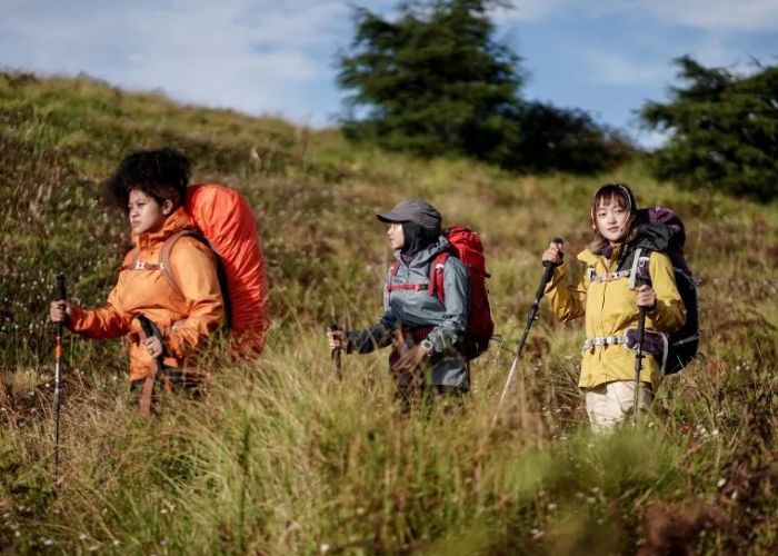 Panduan Hiking untuk Pemula: Menemukan Makna Perjalanan dari Setiap Langkah Kecil